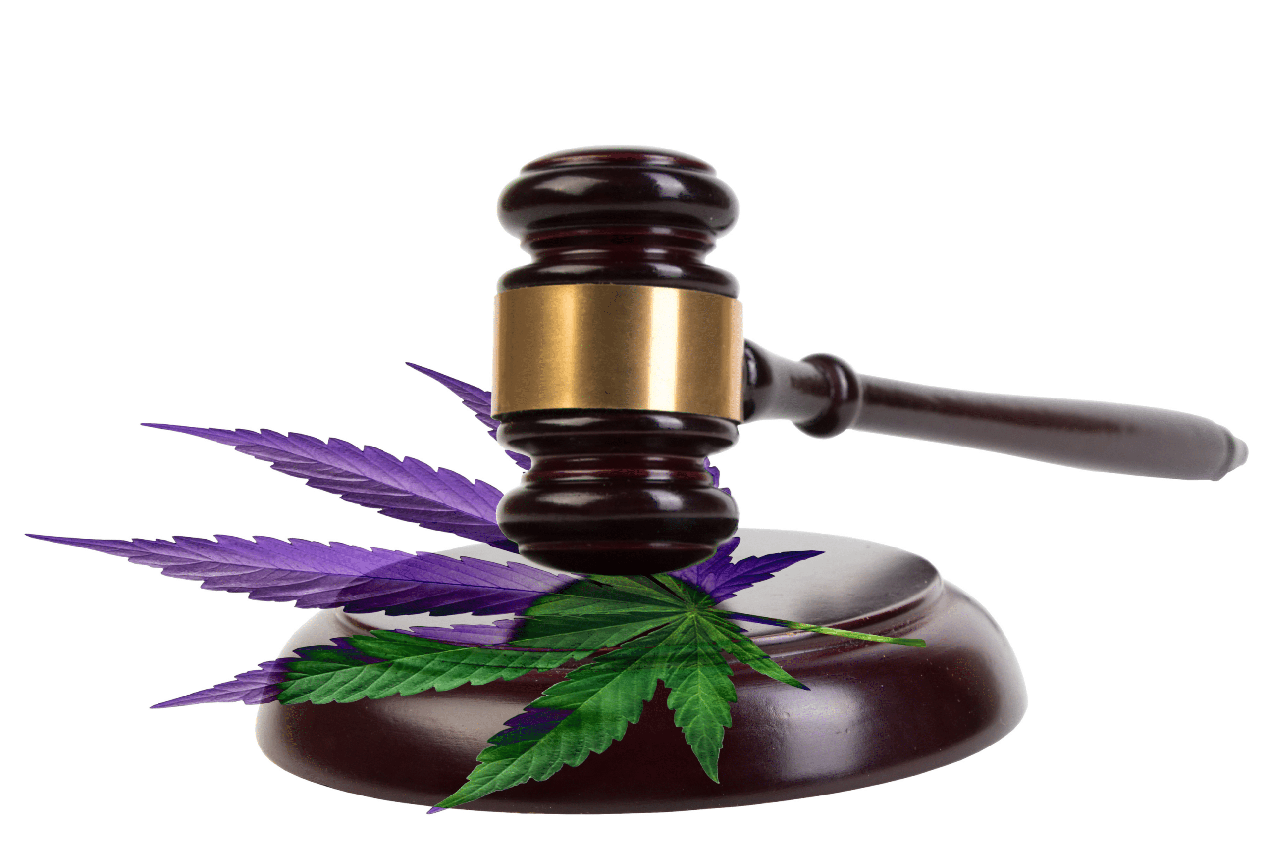 Colorado Springs Marijuana DUI Lawyer